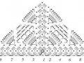 20292783_1526750150679488_6863527409222018200_n.jpg